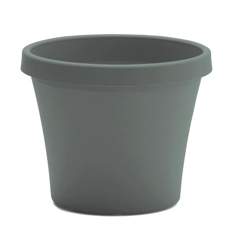 Bloem Terra 14.25 in. H X 17.25 in. W X 11.75 in. D Plastic Traditional Planter Basil