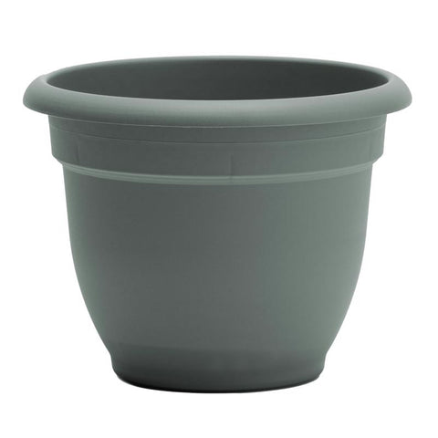 Bloem Ariana 5.25 in. H X 6.5 in. W X 6 in. D Plastic Traditional Planter Basil