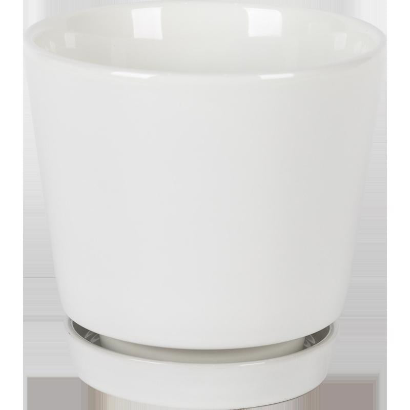 Border Concepts 6 in. D Ceramic Flair Saucer Planter White (Pack of 6)