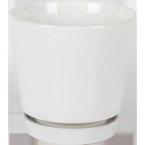 Border Concepts 10 in. D Ceramic Flair Saucer Planter White