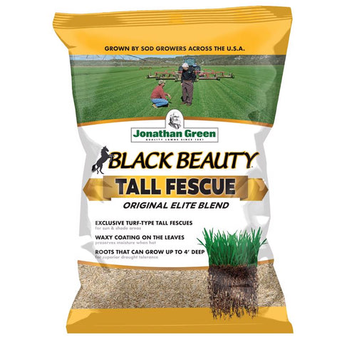 Jonathan Green Black Beauty Hierba festuca alta Semilla de césped para sol o sombra 3 lb