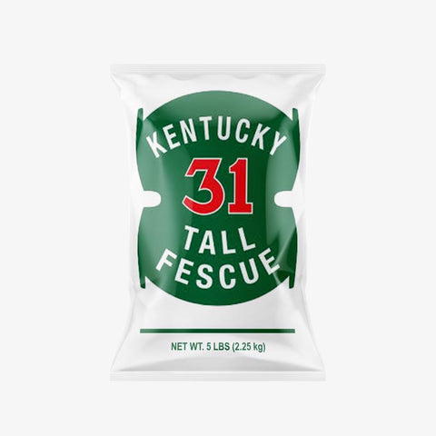 Barenbrug Kentucky 31 Tall Fescue Grass Sun or Shade Grass Seed 5 lb