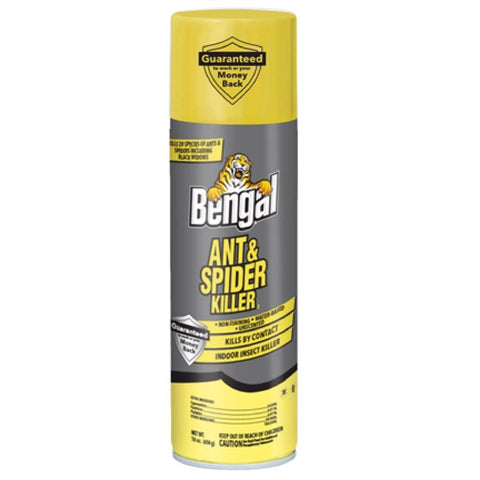 Bengal Spider & Ant Killer Aerosol 16 oz (Pack of 12)
