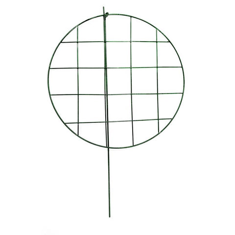 Glamos Wire 24 in. H Green Metal Plant Support