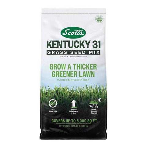 Scotts Kentucky 31 Full Sun/Light Shade Grass Seed Mix