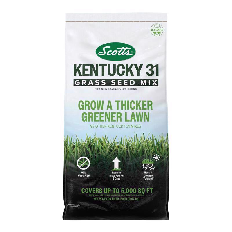Mezcla de semillas de césped Scotts Kentucky 31 para pleno sol/sombra ligera