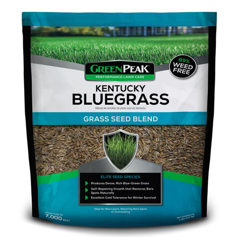 Semilla de césped GreenPeak Kentucky Bluegrass para pleno sol, 7 lb