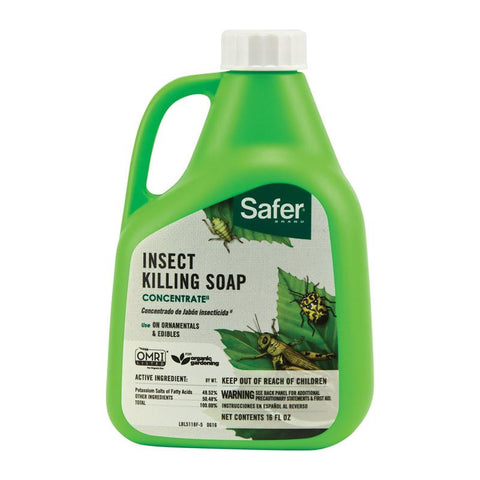 Safer Brand Organic Insect Killing Soap Liquid 16 oz (Pack of 6)