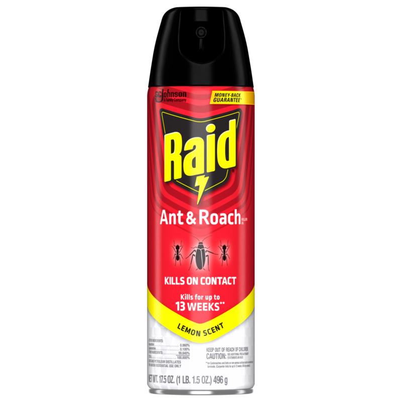 Raid Insect Killer Aerosol 17.5 oz (Pack of 12)