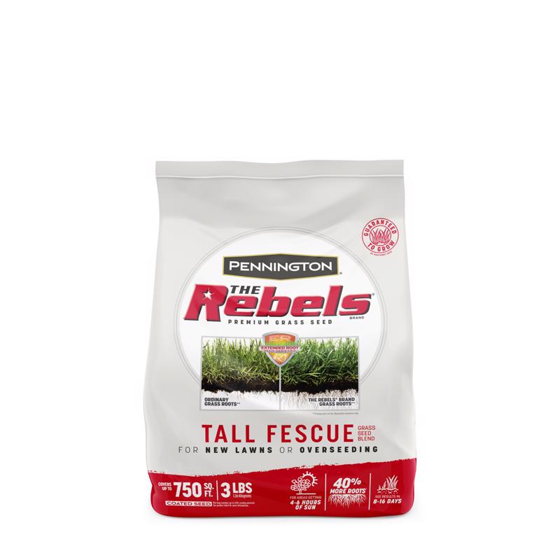 Pennington The Rebels Hierba festuca alta Semilla de césped para sol o sombra 3 lb