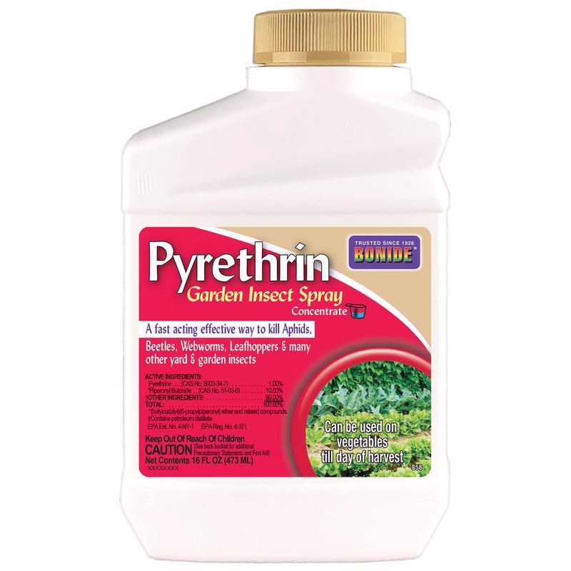 Bonide Concentrado líquido orgánico de piretrina en aerosol para matar insectos, 16 oz