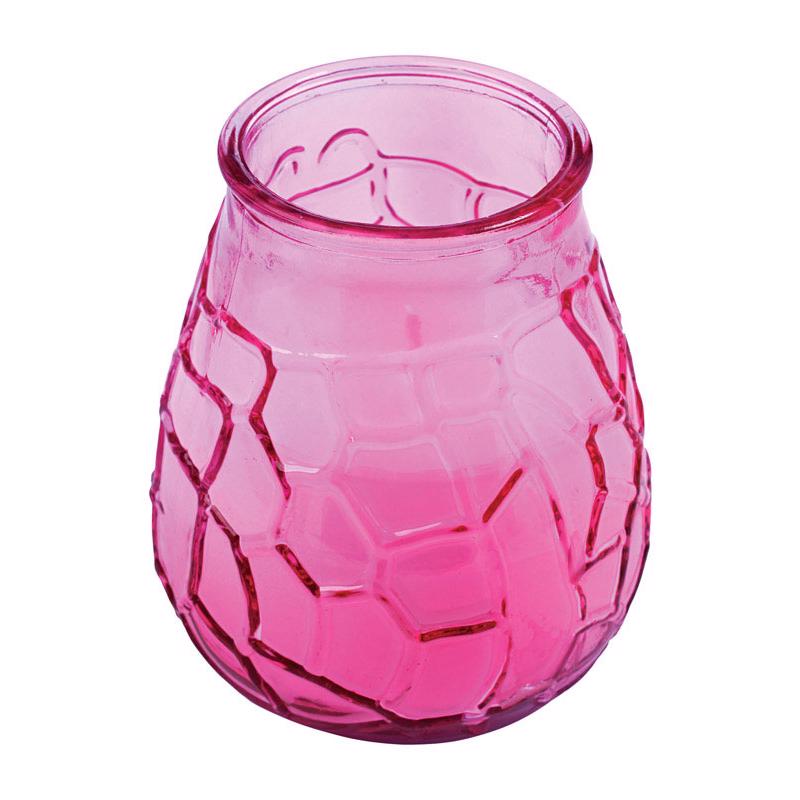 Vela de citronela Patio Essentials con soporte para mosquitos/otros insectos voladores, 10 oz (paquete de 9)
