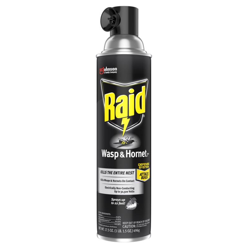 Raid Wasp and Hornet Killer Spray 17.5 oz (Pack of 12)
