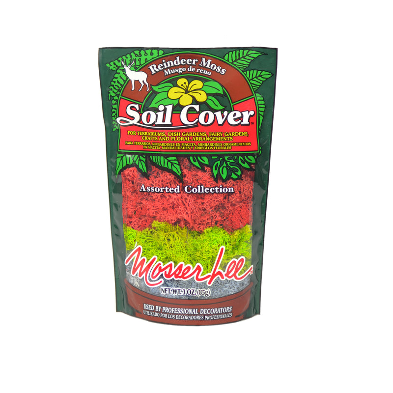 Musgo de reno orgánico variado para cobertura de suelo Mosser Lee, 3 oz
