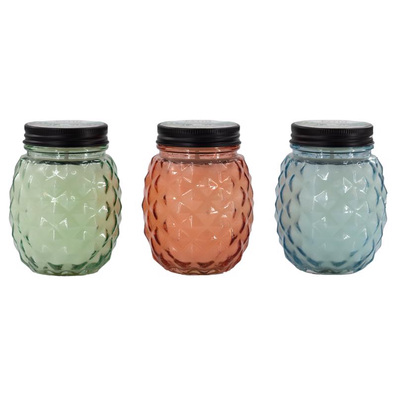Patio Essentials Citronella Mason Jar Candle For Mosquitoes/Other Flying Insects 13 oz (Pack of 9)