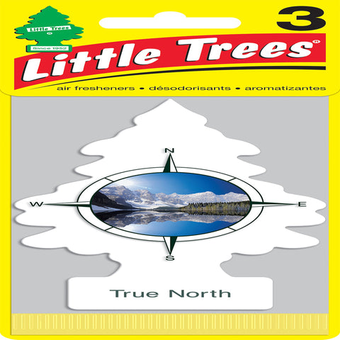 Little Trees True North Scent Car Air Freshener Solid 3 pk (Pack of 8)