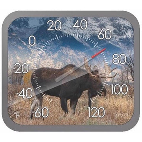 Taylor Moose Design Dial Thermometer Plastic Multicolored 14 in.