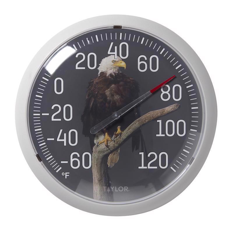 Taylor Bald Eagle Design Dial Thermometer Plastic Multicolored 13.25 in. (Pack of 4)