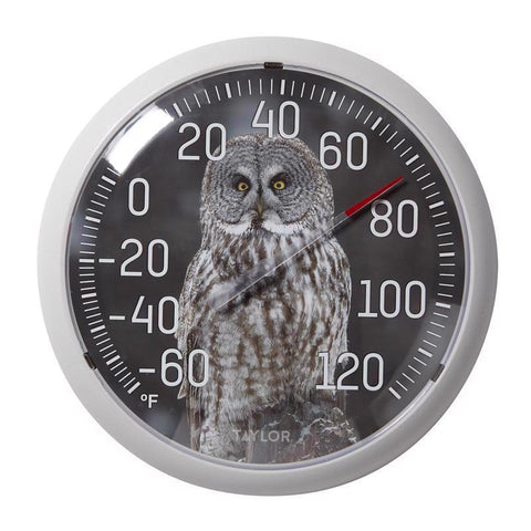 Taylor Owl Design Dial Thermometer Plastic Multicolored 13.25 in. (Pack of 4)