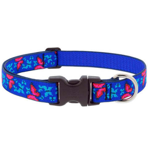 LupinePet Blue/Pink Social Butterfly Nylon Dog Adjustable Collar Medium