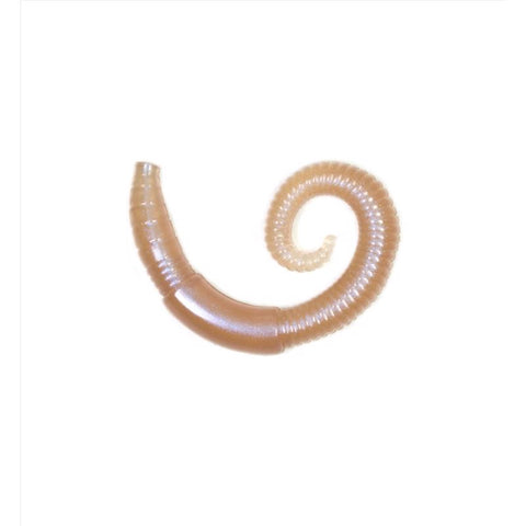 Lunkerhunt Fishing Lure 0.25 in.