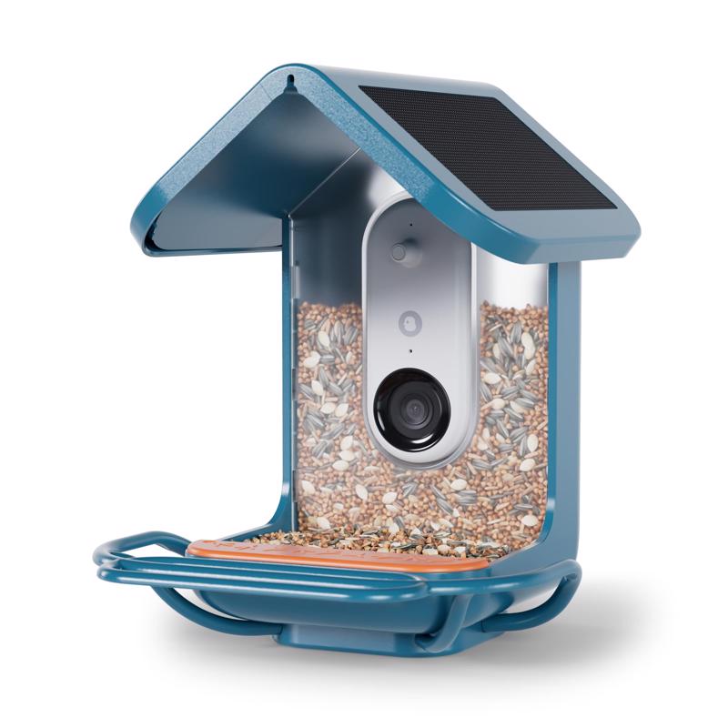 Comedero para pájaros Bird Buddy con 4 recipientes, extensión de percha de plástico, cámara solar inteligente con conexión inteligente, 1 puerto