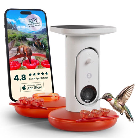 Bird Buddy Hummingbird 1.75 cups Plastic With Extra Base Smart-Enabled Smart Solar Camera Bird Feede