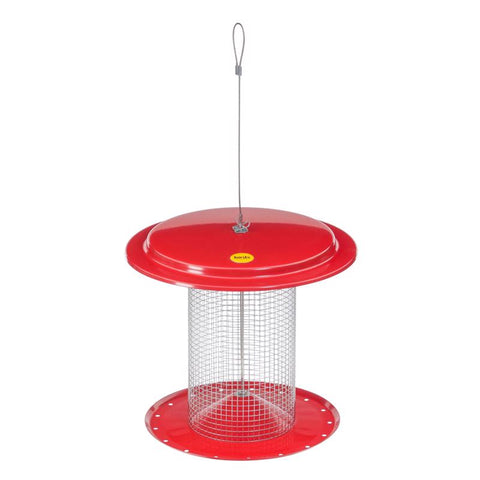Birds Choice Sunflower 3 lb. cap. Metal Hanging Bird Feeder