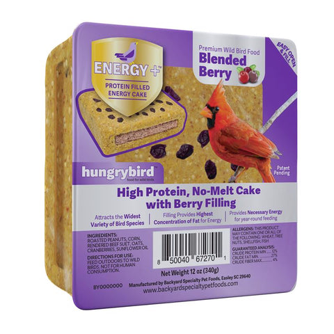 Hungrybird Suet 12 oz (Pack of 12)