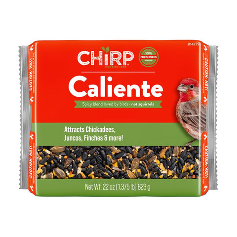 Chirp Caliente Wild Bird Seed Cake 22 oz (Pack of 6)