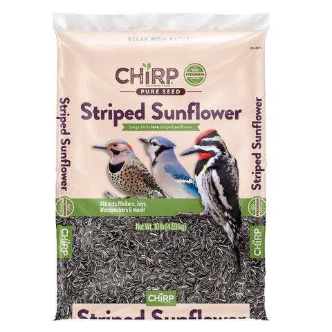 Chirp Pure Seed Striped Sunflower Seed Wild Bird Food 10 lb (Pack of 3)