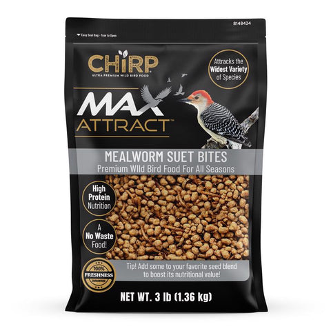 Chirp Max Attract Mealworm Suet 3 lb