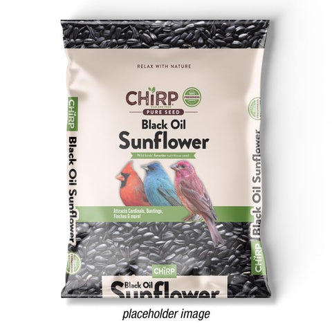 Chirp Black Oil Sunflower Wild Bird Food 10 lb