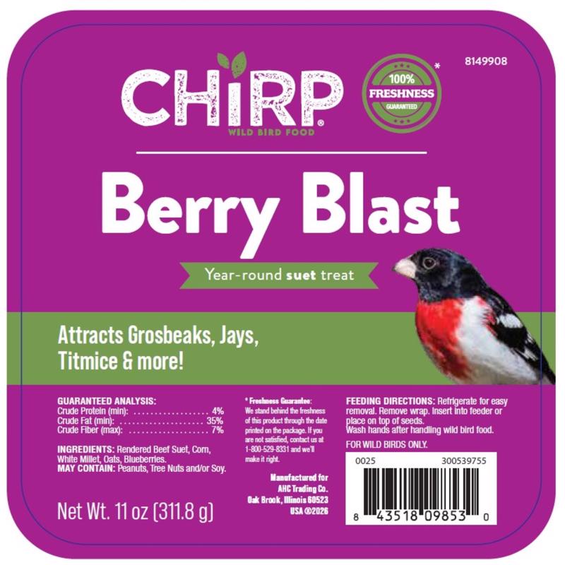 Chirp Berry Blast Suet Berry Suet 11 oz (Paquete de 12)
