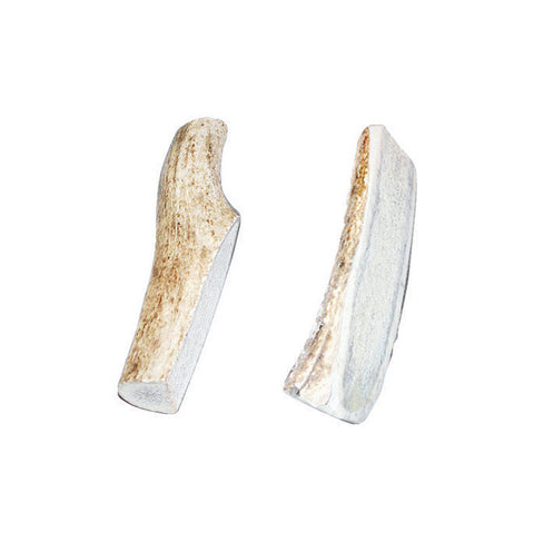 Bucky Bites All Size Dogs All Ages Antler Deer 4 in. L 2 pk