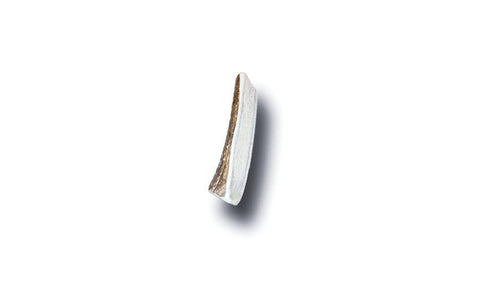 Bucky Bites Medium/Large Adult Antler Antler 4 in. L 1 pk