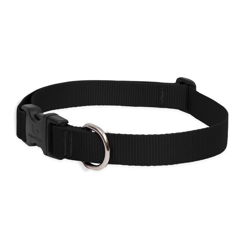 LupinePet Basic Solids Black Nylon Dog Adjustable Collar