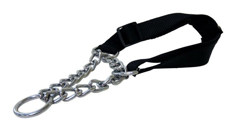PDQ Black / Silver Steel Dog Collar Large (Pack of 6)