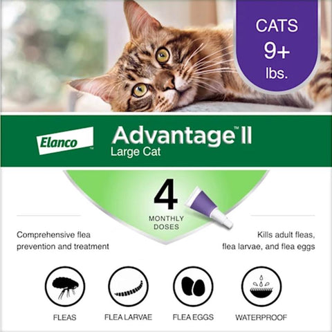 Gotas líquidas Elanco Advantage II para gatos contra pulgas, imidacloprid/piriproxifen, 0,108 oz