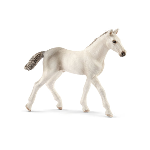 Schleich Horse Club Holsteiner Foal Toy White 1 pc (Pack of 5)