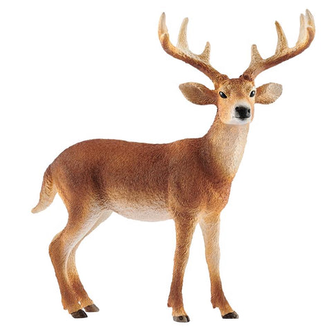 Schleich Wild Life White Tailed Buck Deer Toy Brown (Pack of 5)