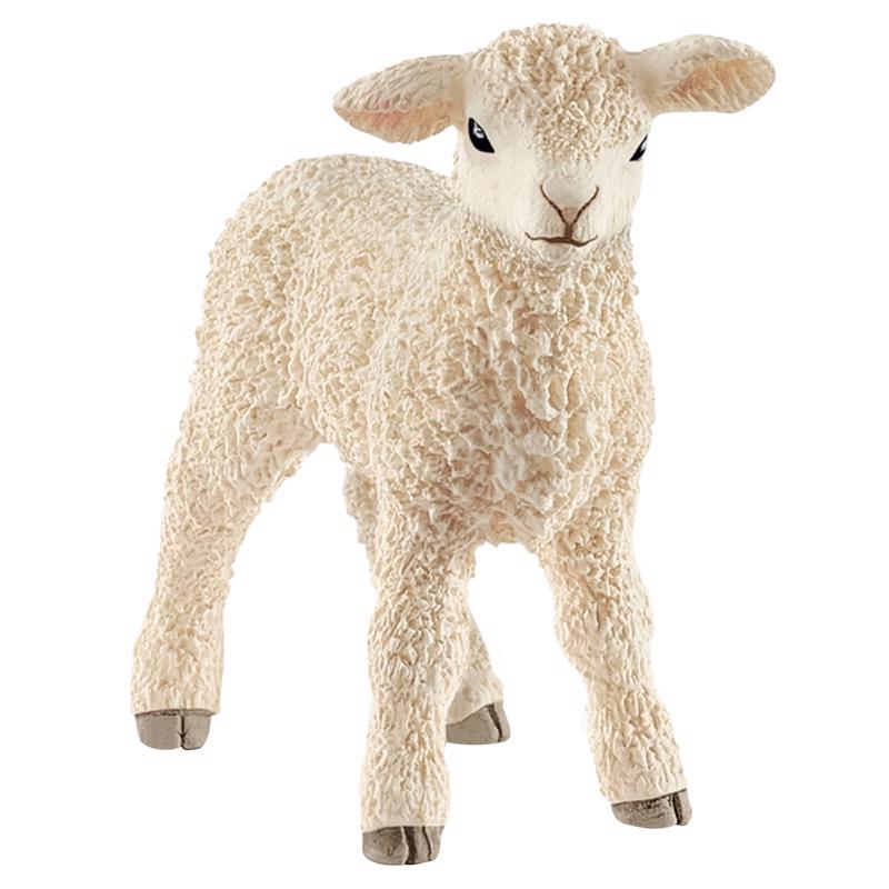 Schleich Farm World Lamb Toy White (Pack of 5)