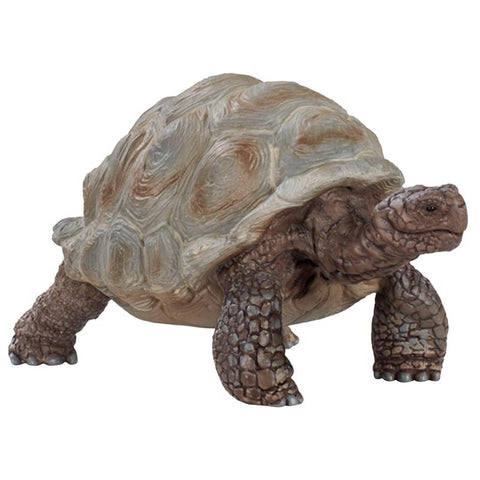 Juguete de tortuga gigante Schleich Wild Life beige/marrón (paquete de 5)