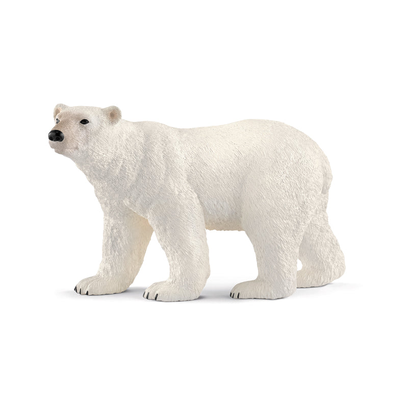 Schleich Wild Life Polar Bear Toy White (Pack of 5)