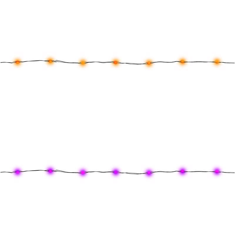 Celebrations Halloween Orange/Purple 50 ct 1 in. LED Prelit Light String String Lights (Pack of 12)
