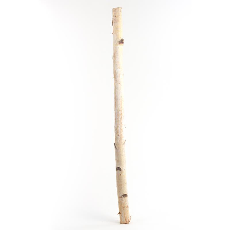 Second Nature Natural Birch Branches 32 in. (Pack of 10)