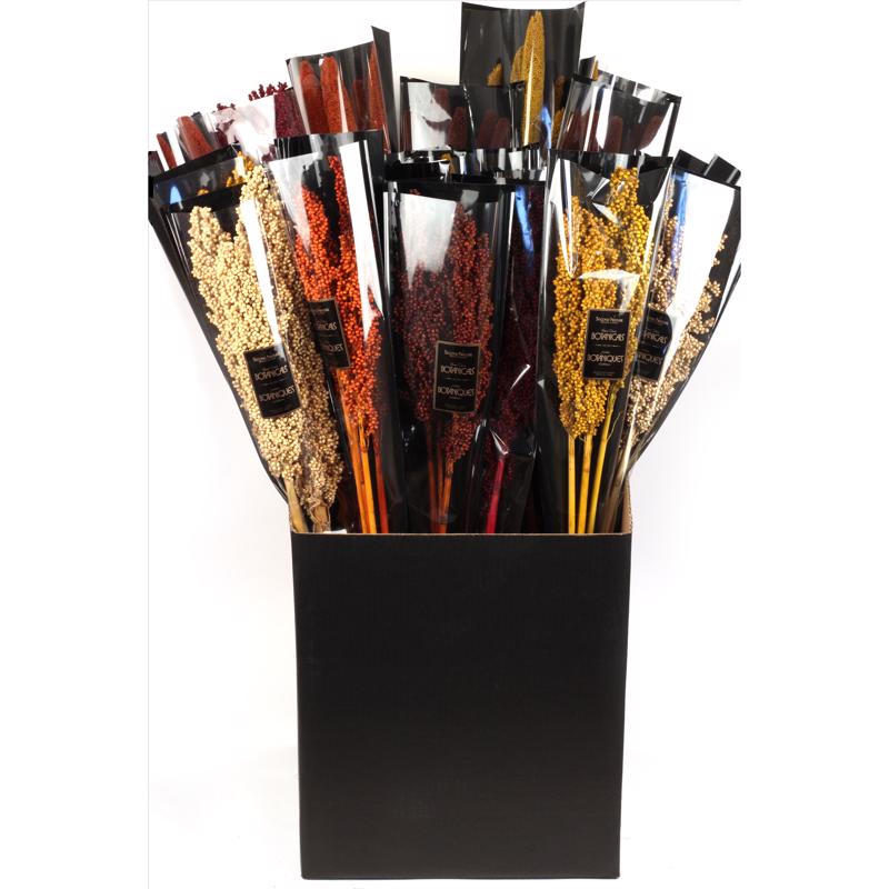 Second Nature 24 in. Milo/Millet Dried Floral Stems Bouquet (Pack of 24)