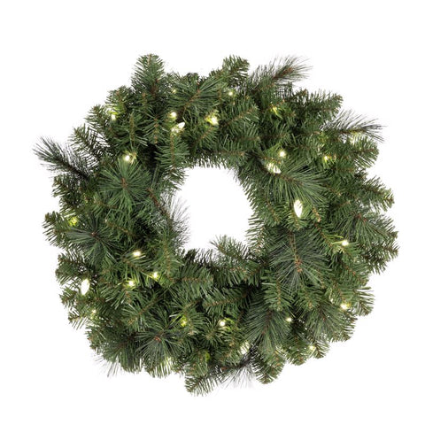 Celebrations Platinum 26 in. D LED Prelit Pure White Pine Wreath