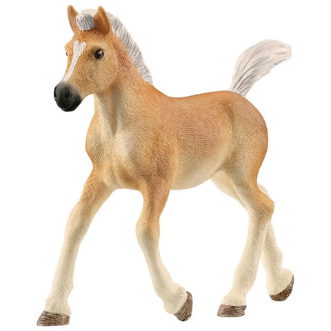 Schleich Haflinger Horse Foal Figurine Snow White 1 pc (Pack of 5)