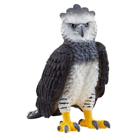 Figuritas de águila harpía Schleich multicolor (paquete de 5)